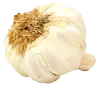 garlic-100x89-1